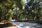 200_lupine_valley_driveway1